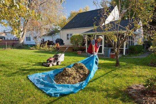 Grass & Lawn Waste Removal