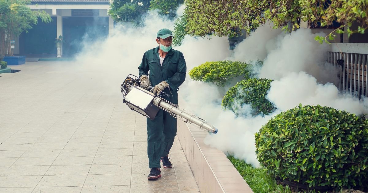 Mosquito control and prevention services in Dubai