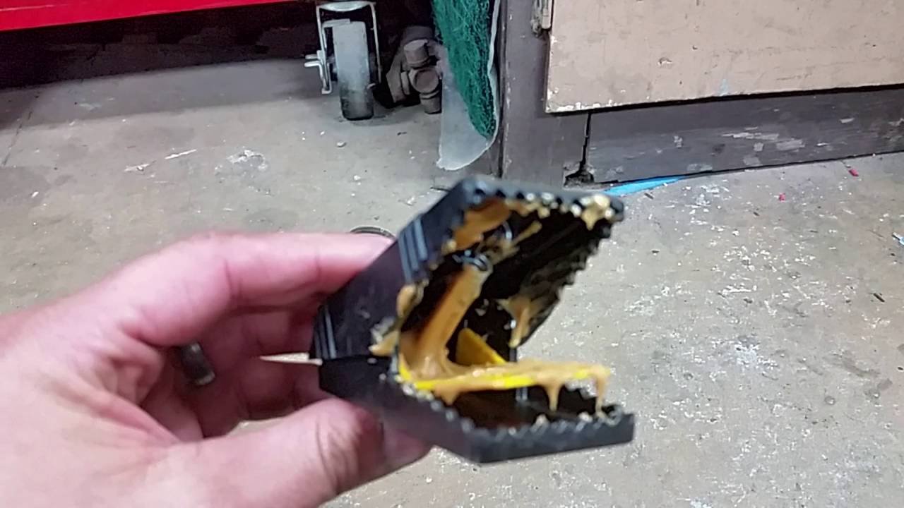 Baiting & Trapping Solutions