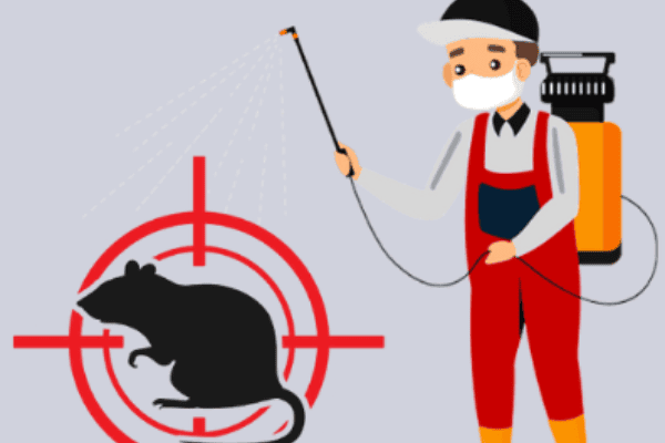 Follow-Up & Prevention Service