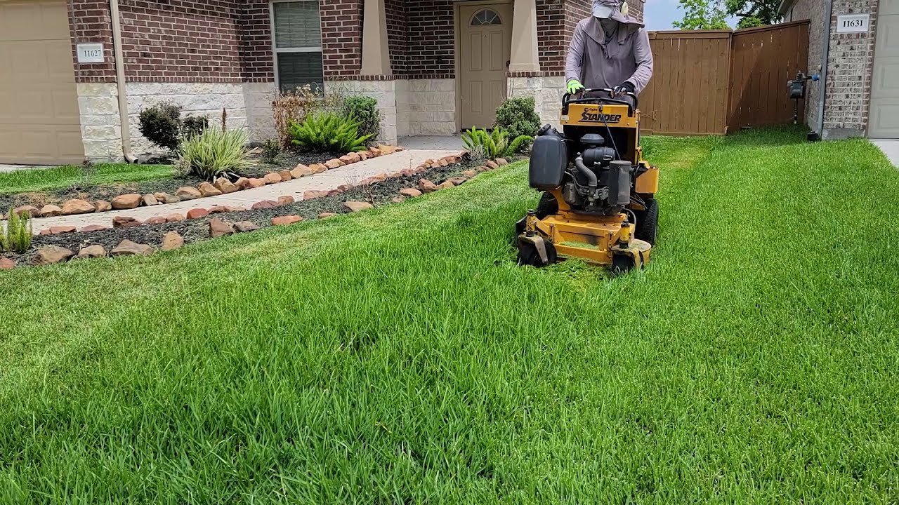 Lawn Mowing & Trimming