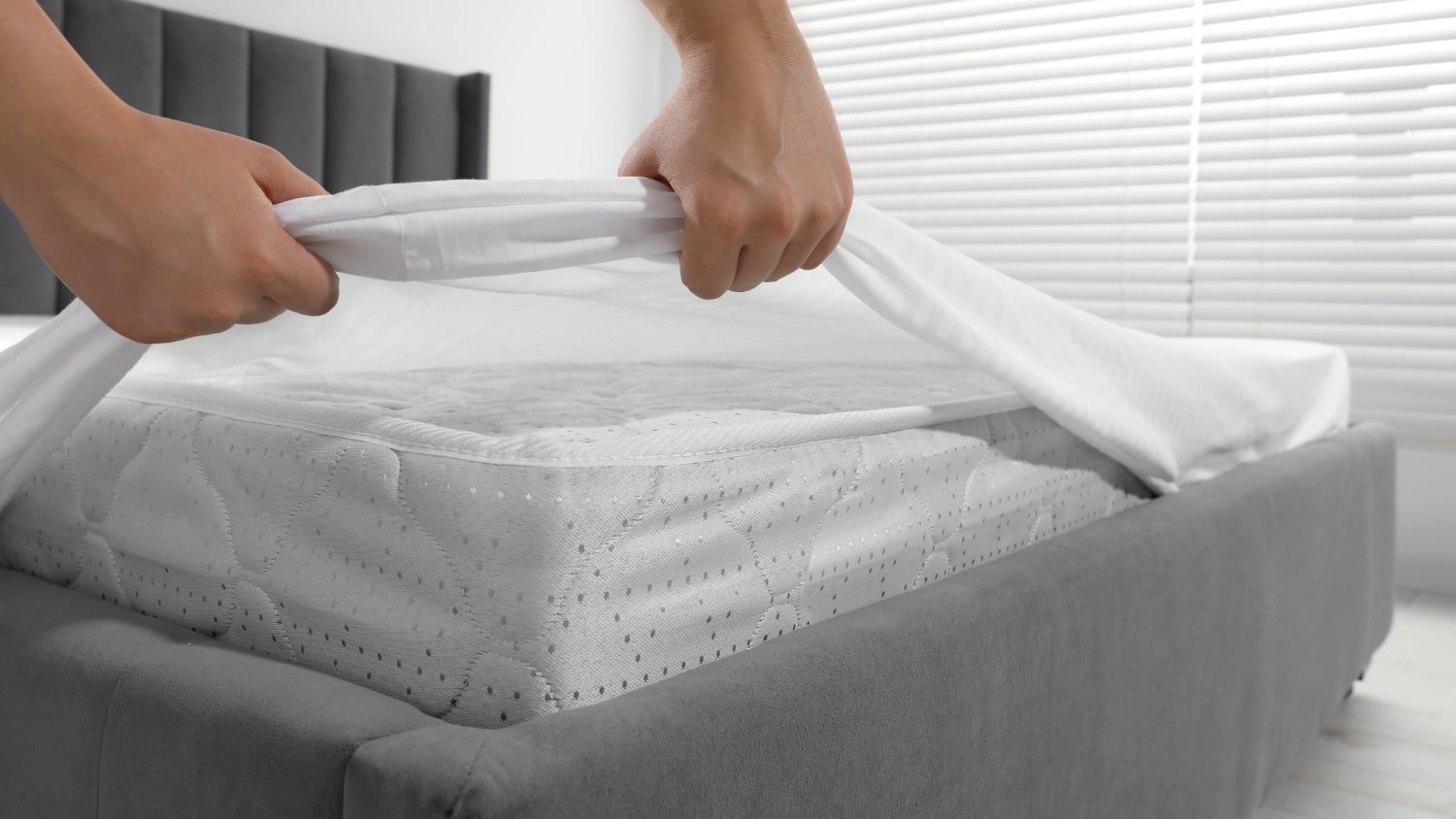 Mattress & Bedding Treatment
