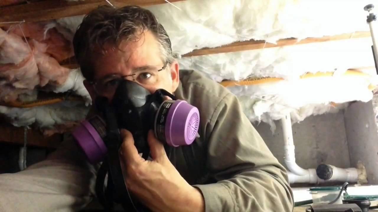 Rodent Inspection & Identification