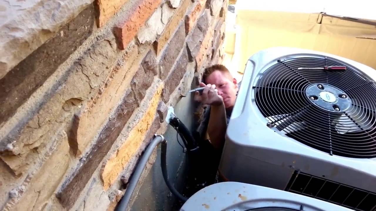 Rodent Nest Removal