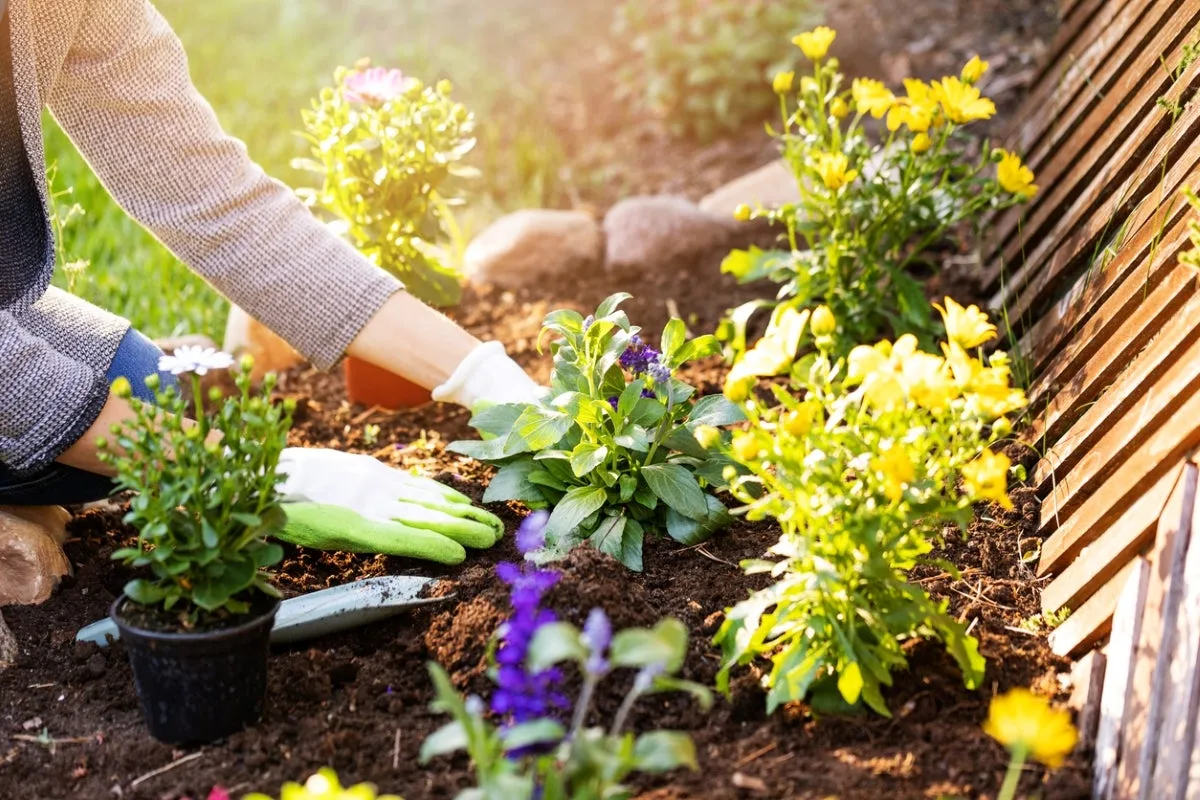 Seasonal Planting & Flower Care