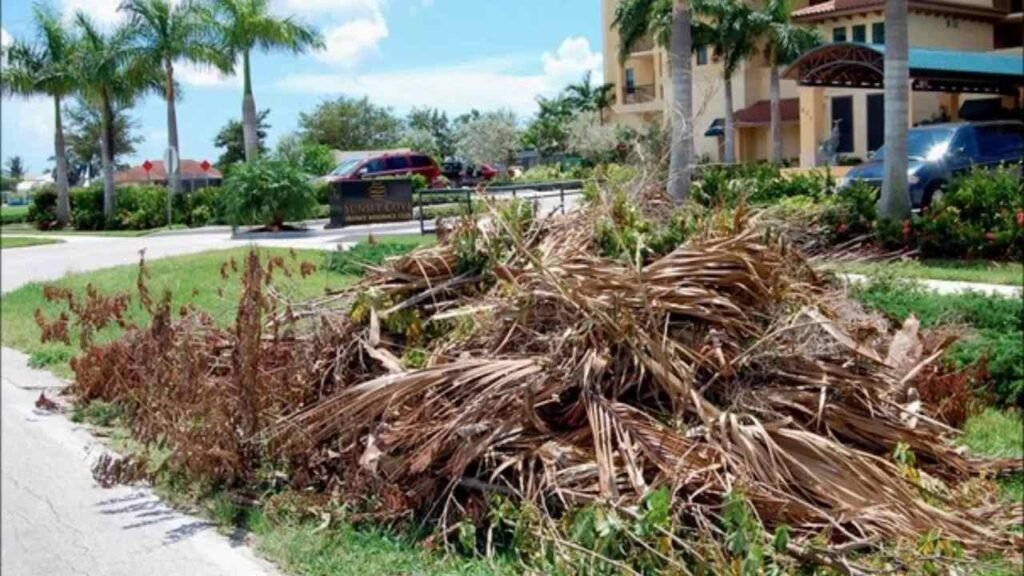Garden waste removal Dubai service for villa gardens with grass cuttings and branches.